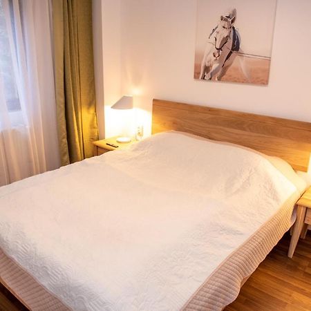 Classic Apartment Near The City Center Cluj-Napoca Exteriör bild