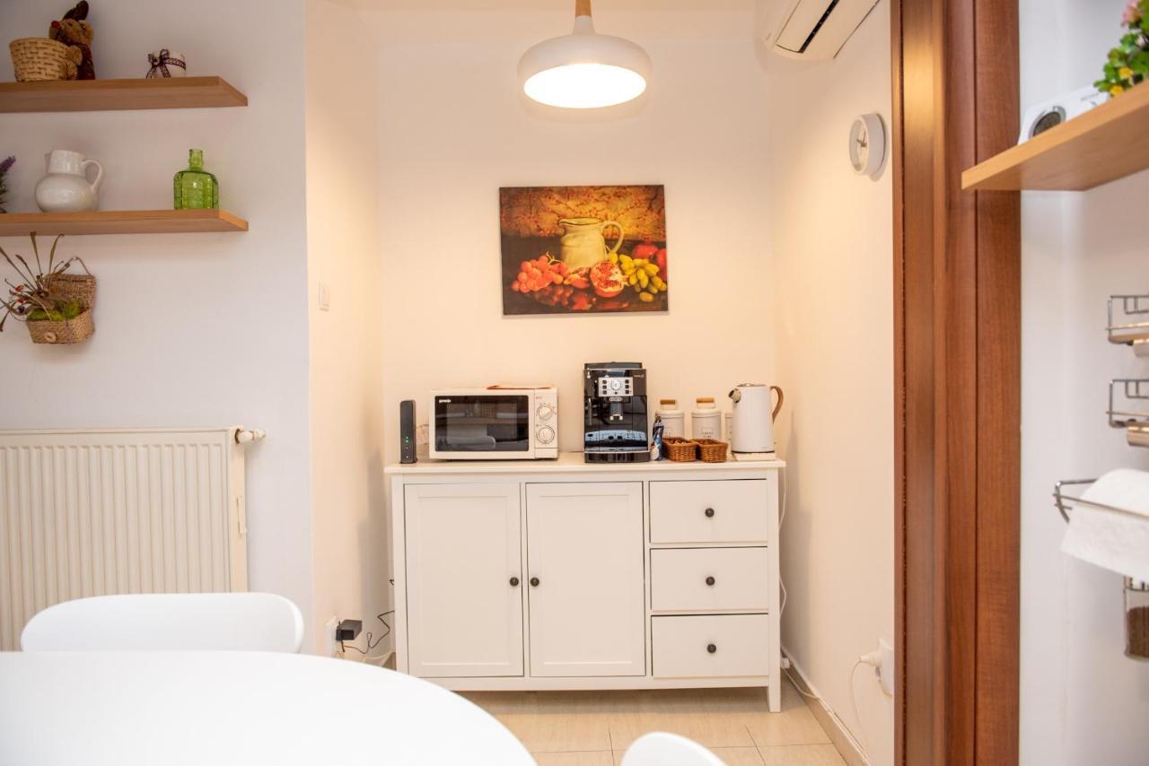 Classic Apartment Near The City Center Cluj-Napoca Exteriör bild