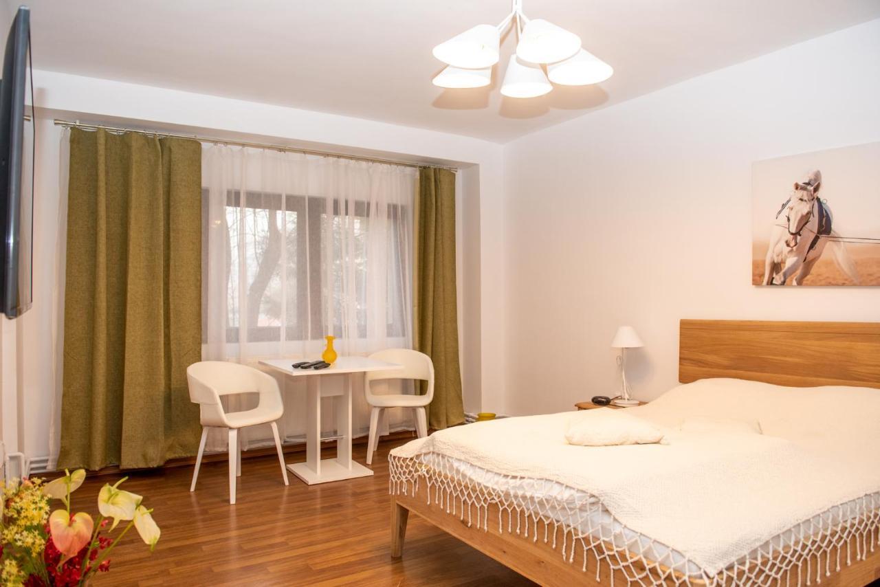 Classic Apartment Near The City Center Cluj-Napoca Exteriör bild