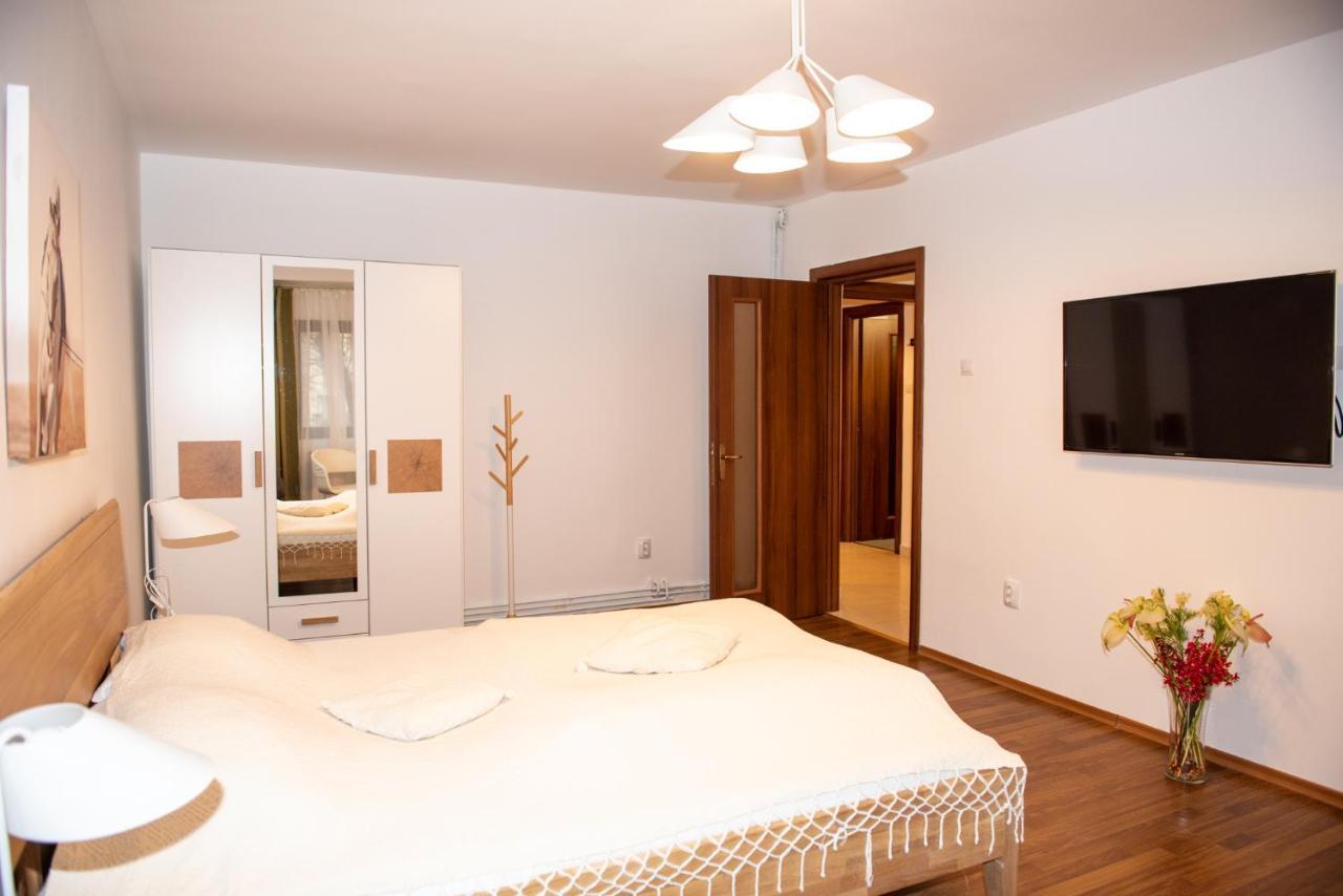 Classic Apartment Near The City Center Cluj-Napoca Exteriör bild