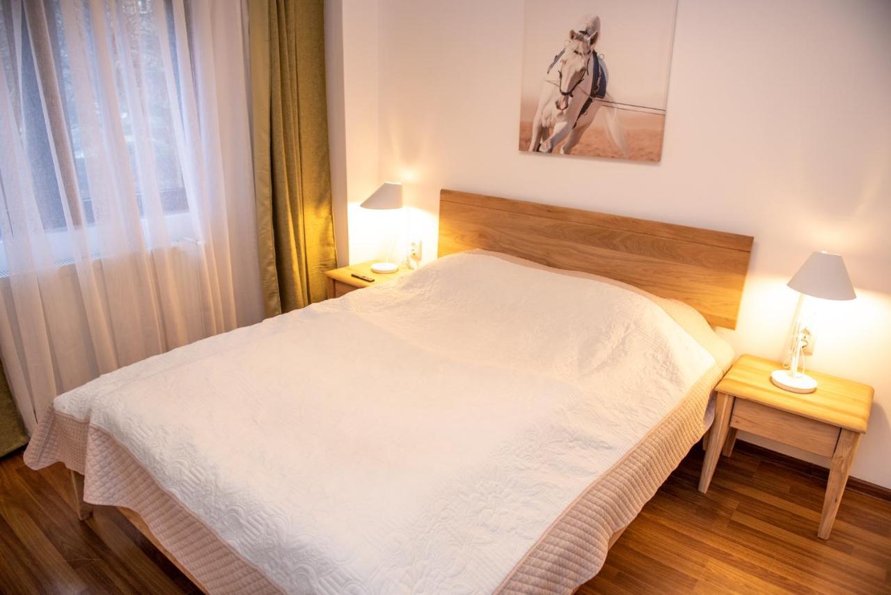 Classic Apartment Near The City Center Cluj-Napoca Exteriör bild