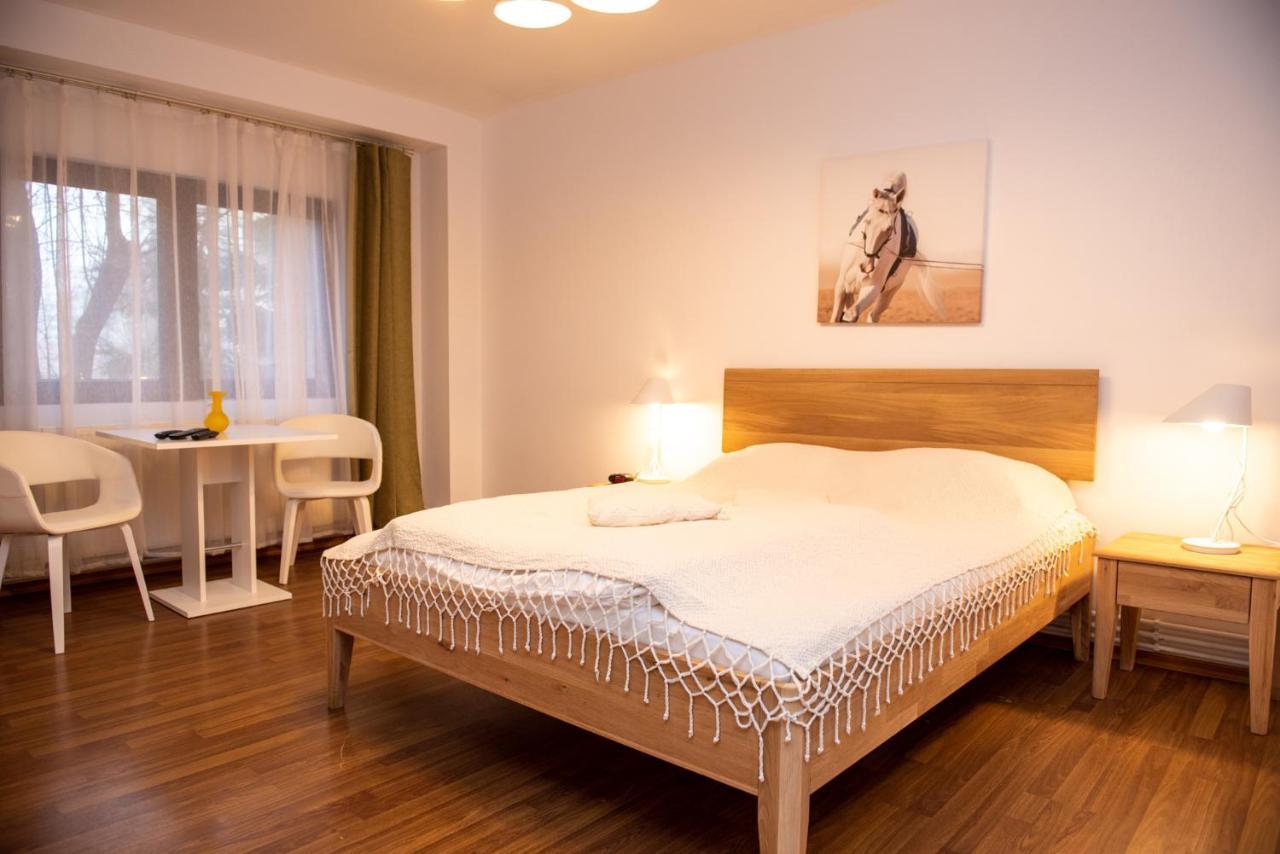 Classic Apartment Near The City Center Cluj-Napoca Exteriör bild