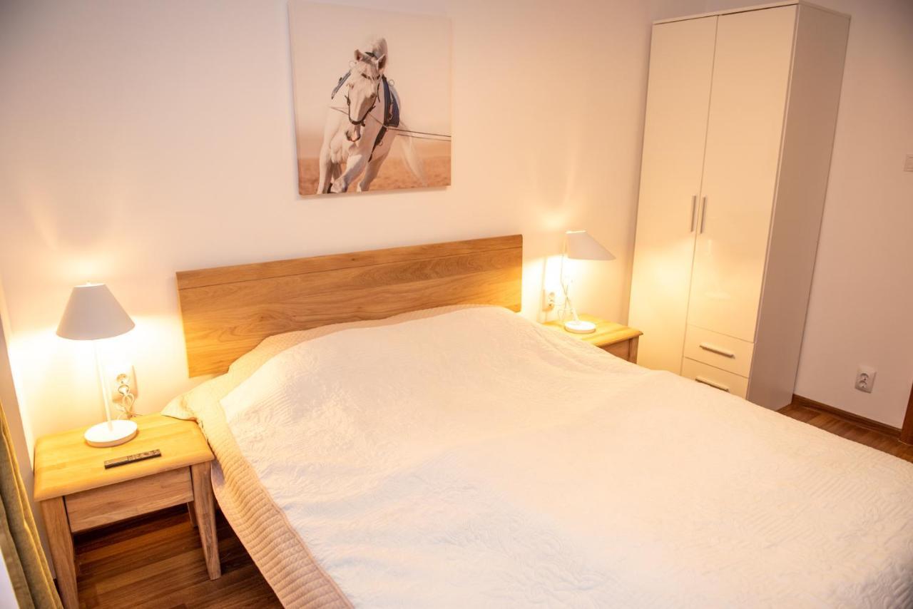 Classic Apartment Near The City Center Cluj-Napoca Exteriör bild