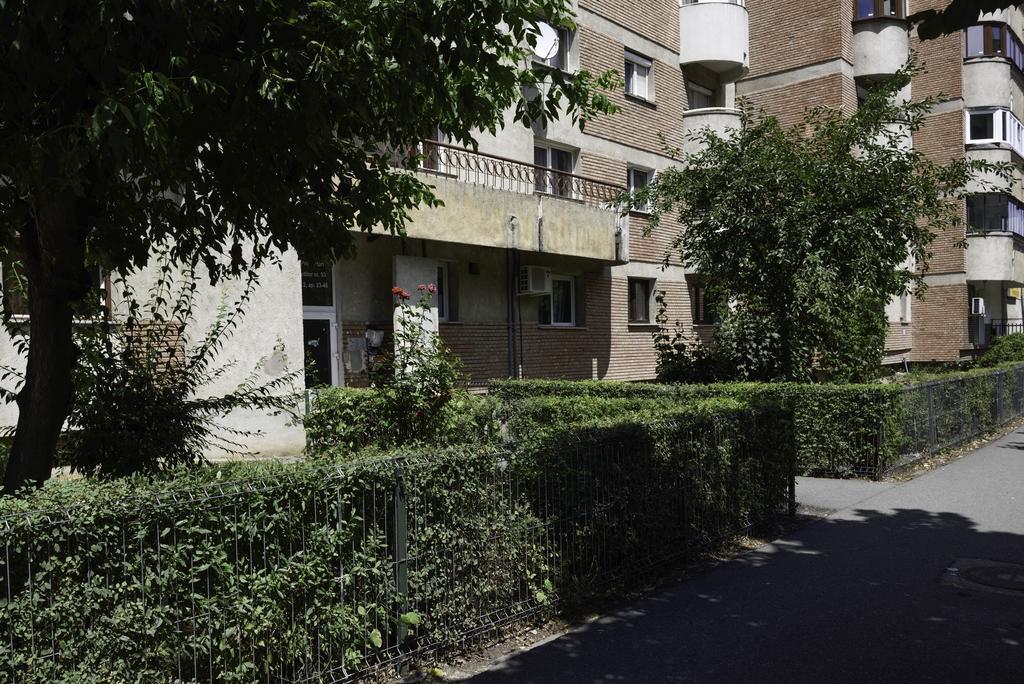 Classic Apartment Near The City Center Cluj-Napoca Exteriör bild
